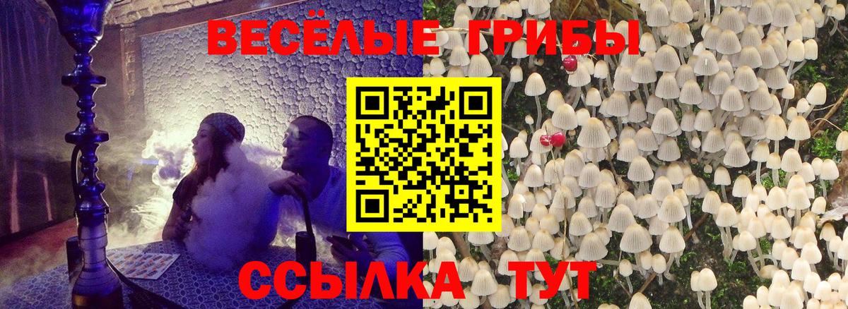 Галлюциногенные грибы Magic Shrooms Обнинск