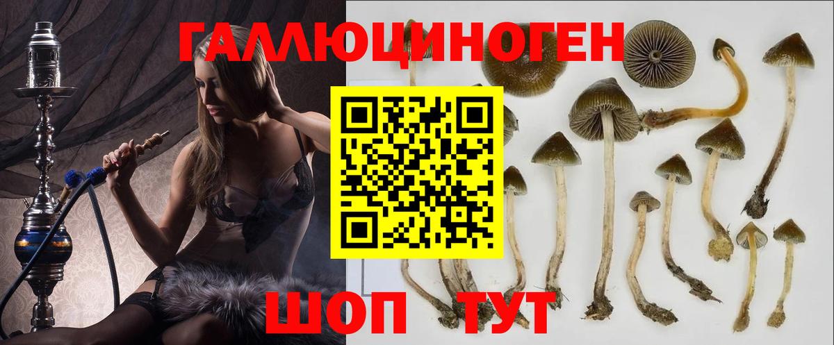 Обнинск  Псилоцибиновые грибы GOLDEN TEACHER  Вход с VPN 